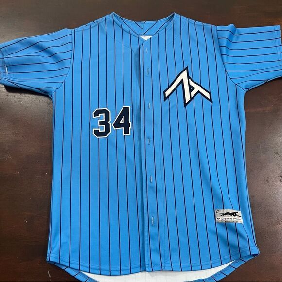 Other - ZT prospects baseball Blue Striped full button Jersey CA old school